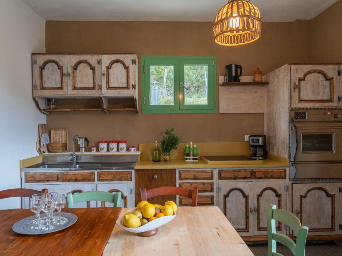 Villarelli Holiday Home Oasi Colorata By Interhome מראה חיצוני תמונה
